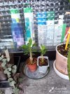 IMG_20250730_195821.jpg