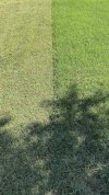 IMG_4766.jpeg