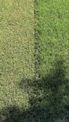 IMG_4767.jpeg
