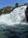 IMG_9878.jpeg