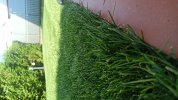 IMG_20250622_174030.jpg