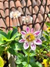 20250821_120601.jpg