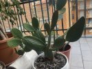 IMG_4072.jpeg