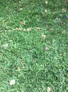 B7FAE724-D145-4C67-9D51-E74668C2EF45.jpeg
