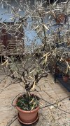 IMG_3654.jpeg