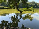 IMG_9882.jpeg