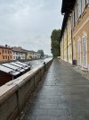IMG_9993.jpeg