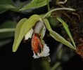 DSC_3264.JPG