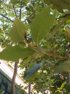 Compress_20250831_184501_1360.jpg