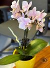 IMG_0007.jpeg
