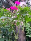 20250904_193051.jpg