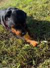 IMG_0050.jpeg