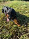 IMG_0049.jpeg