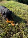 IMG_0048.jpeg