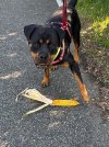 IMG_0047.jpeg