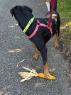IMG_0046.jpeg