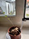 IMG_0056.jpeg
