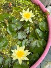 IMG_0089.jpeg