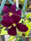 IMG_0086.jpeg