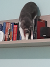 20250918_082038.png
