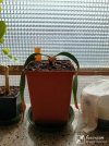 mini_IMG_20250921_103409.jpg