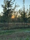 IMG_0340.jpeg