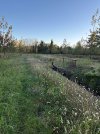 IMG_0339.jpeg