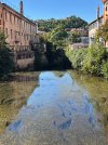 IMG_0323.jpeg