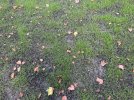 IMG_8707.jpeg