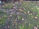 IMG_8705.jpeg