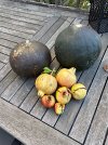 IMG_0352.jpeg
