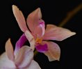 DSC_3512.JPG