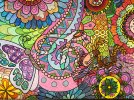 IMG_0369.jpeg