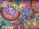 IMG_0368.jpeg