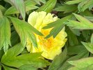 IMG_0388.jpeg
