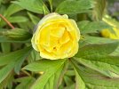 IMG_0387.jpeg