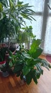 20251013_173125.jpg