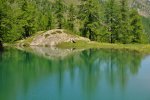 DSC_2970_01.JPG