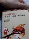 Il-buio-oltre-la-siepe.jpg