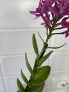 IMG_1572.jpeg