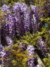 IMG_1750.jpeg