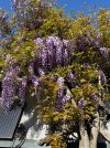 IMG_1751.jpeg