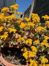 IMG_1749.jpeg