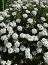 IMG_1748.jpeg