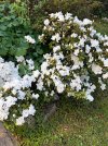 IMG_1746.jpeg