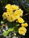 IMG_1754.jpeg