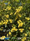 IMG_1752.jpeg
