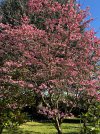IMG_1783.jpeg