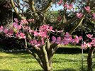 IMG_1782.jpeg