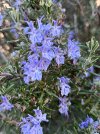 IMG_1779.jpeg